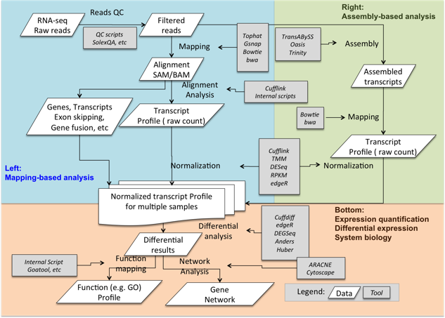 RNA-Seq Portal - Analyzing RNA-seq Data for Agricultural Animal Species