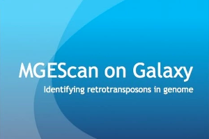 MGEScan on Galaxy Workflow System